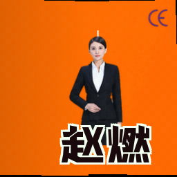 赵燃